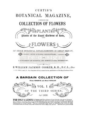 Redesign with Prima Decor
Transfer | BOTANICAL MAGAZINE | 24"
× 35"
